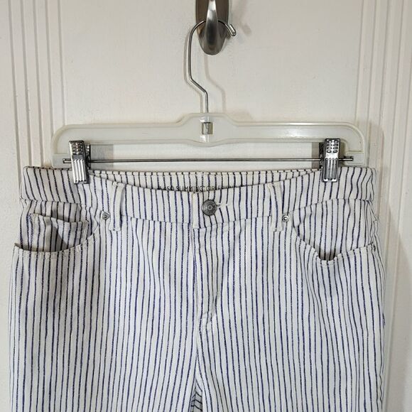 Chico's So Slimming Girlfriend Blue & White Striped Cropped Pants - Picture 5 of 12